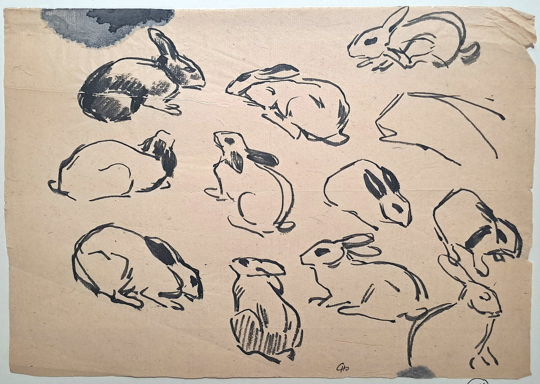 Jules CHADEL [Etudes de lapin]. Dessin original. 