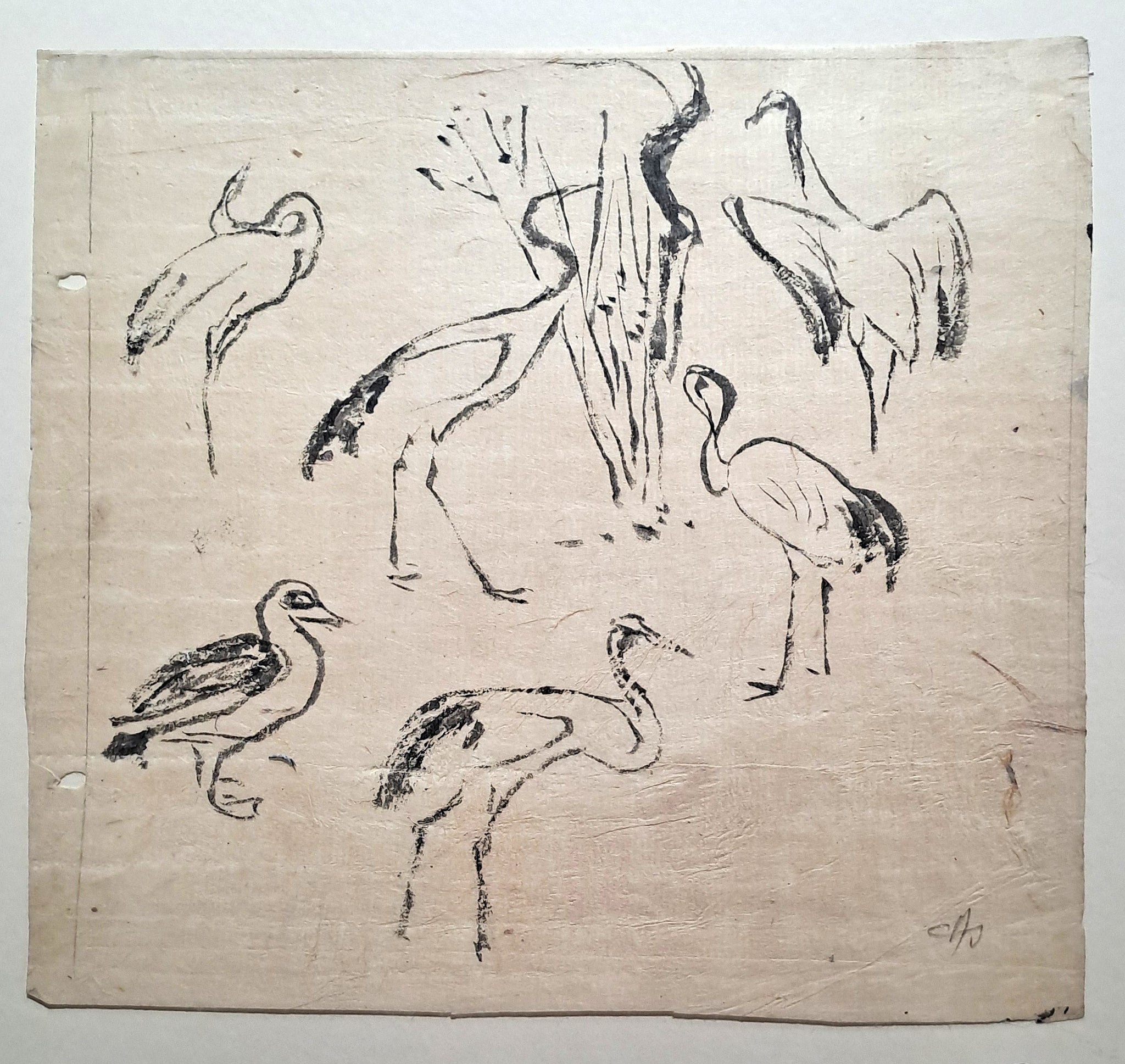 Jules CHADEL [Etudes de cigognes]. Dessin original. 