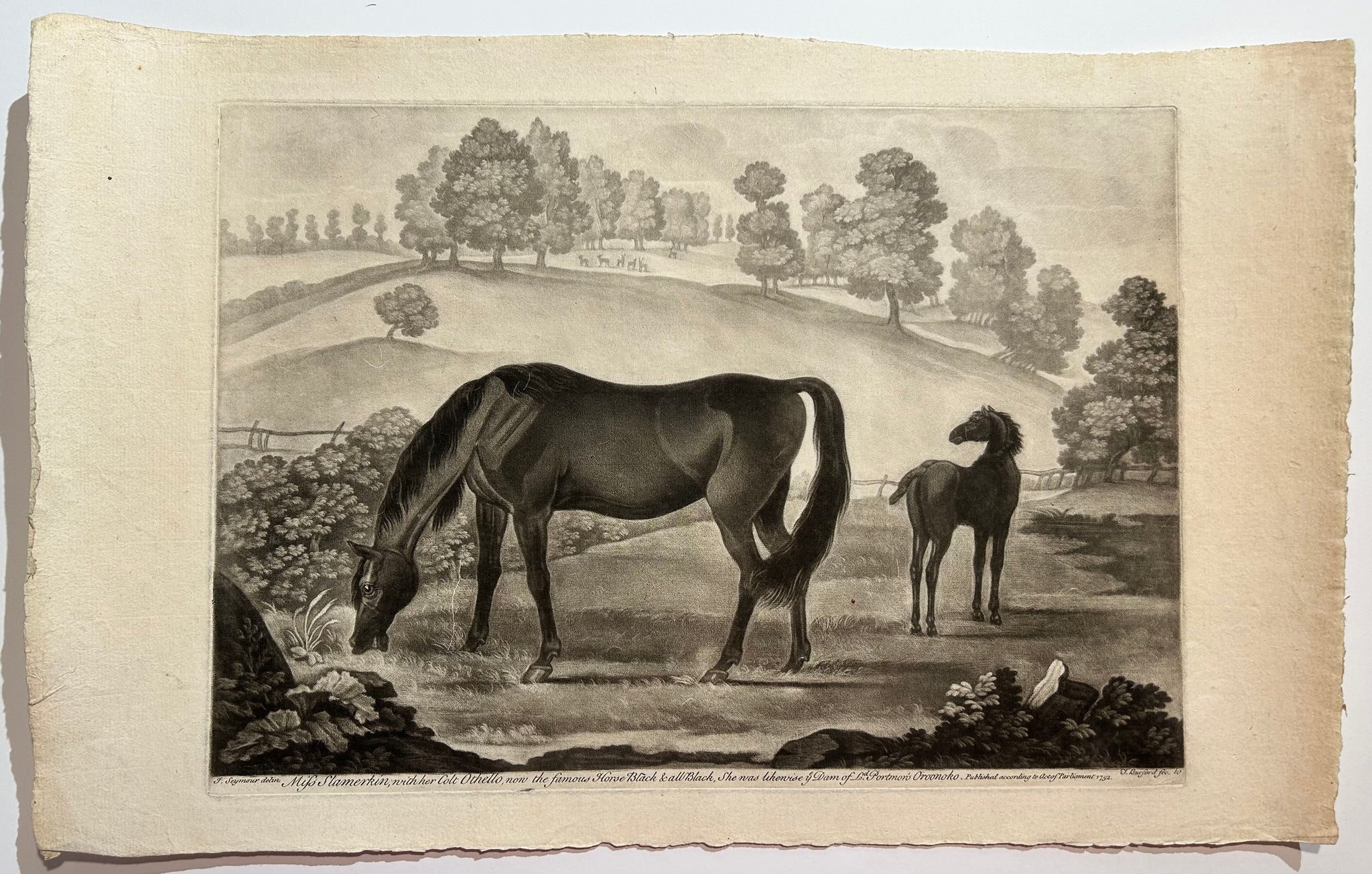 Miss Slamerkin with her Colt Othello, now the famous Horse black & all Black, She was likewise Dam of Ld. Portmor's Oroonoko. c.1752.