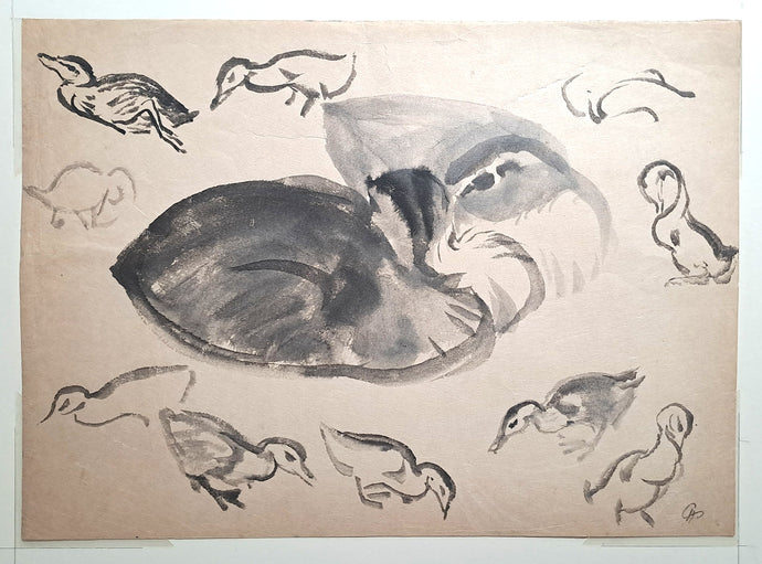 Jules CHADEL [Etude de famille de canards]. Dessin original. 