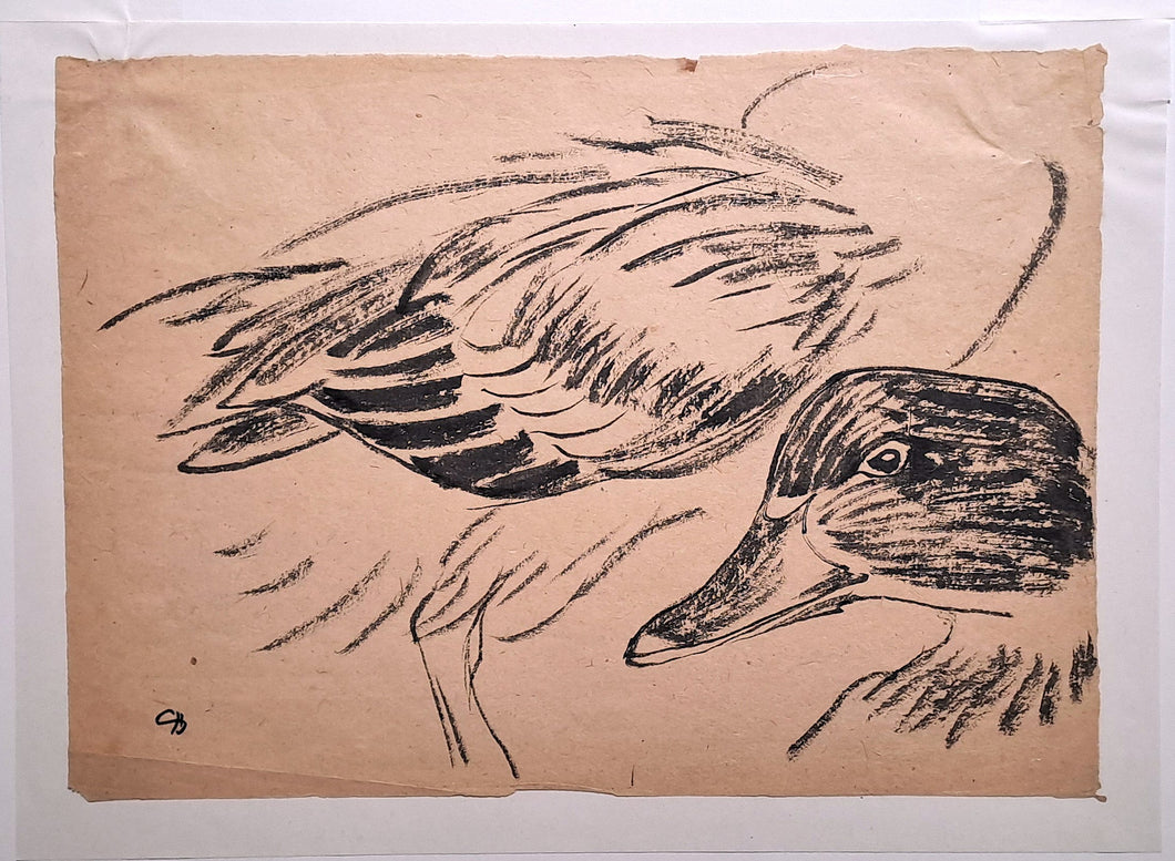 [Etude de canard].
