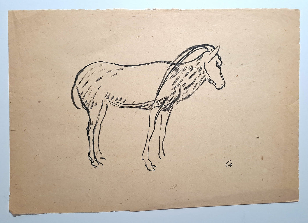 Jules CHADEL [Etude d'oryz]. Dessin original.
