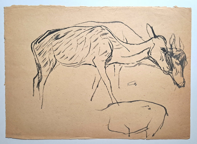 Jules CHADEL [Etudes de biche]. dessin original. 