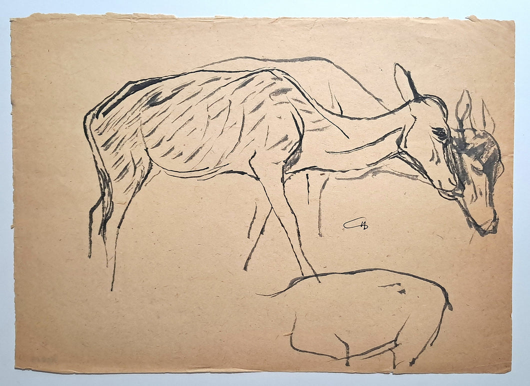 Jules CHADEL [Etudes de biche]. dessin original. 