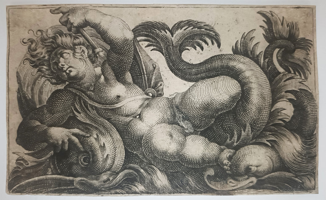 [Putto chevauchant un dauphin.]