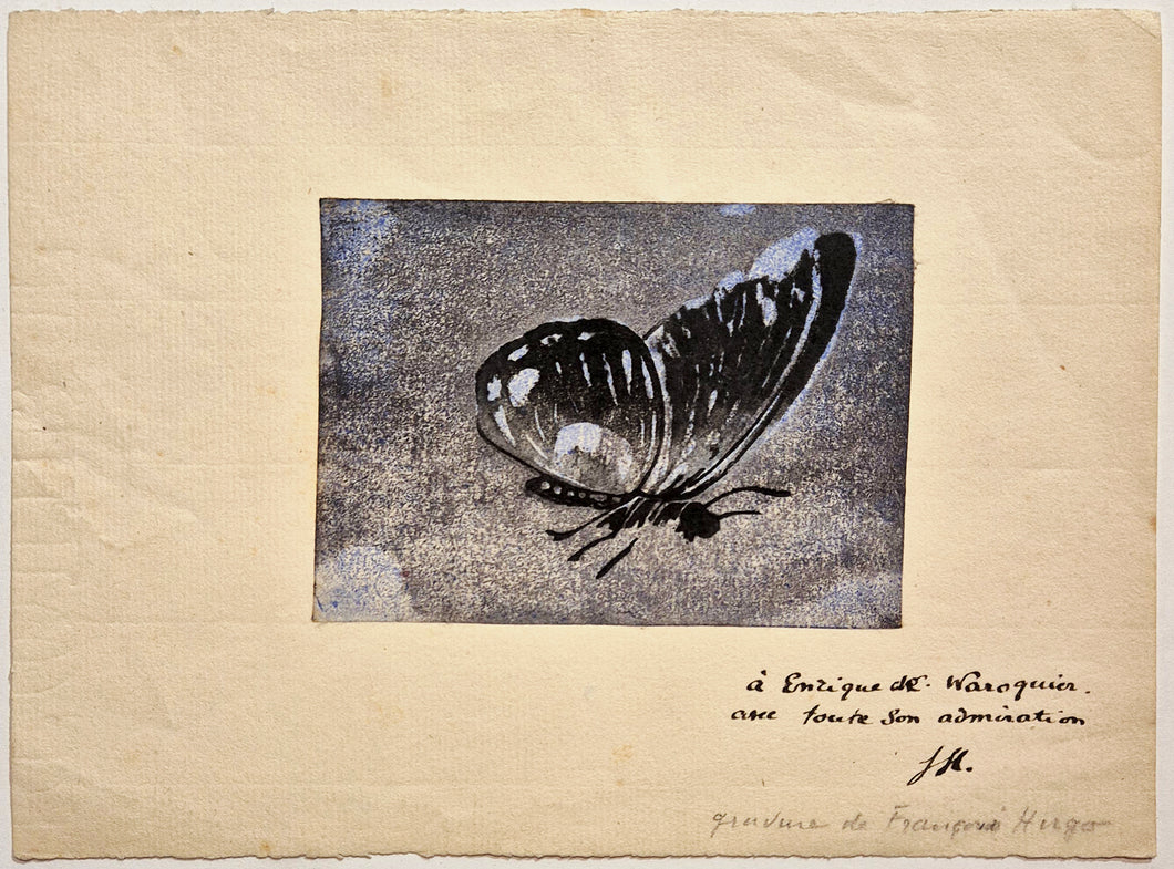 François HUGO - Papillon bleue. 