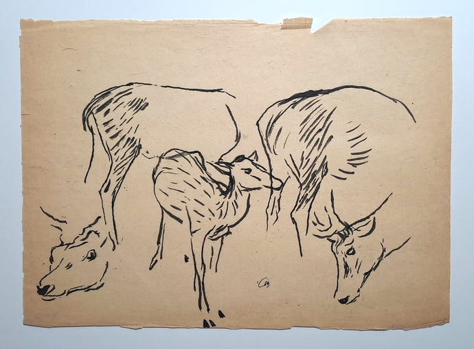 Jules CHADEL [Etudes de cerf et de biche]. Dessin original. 