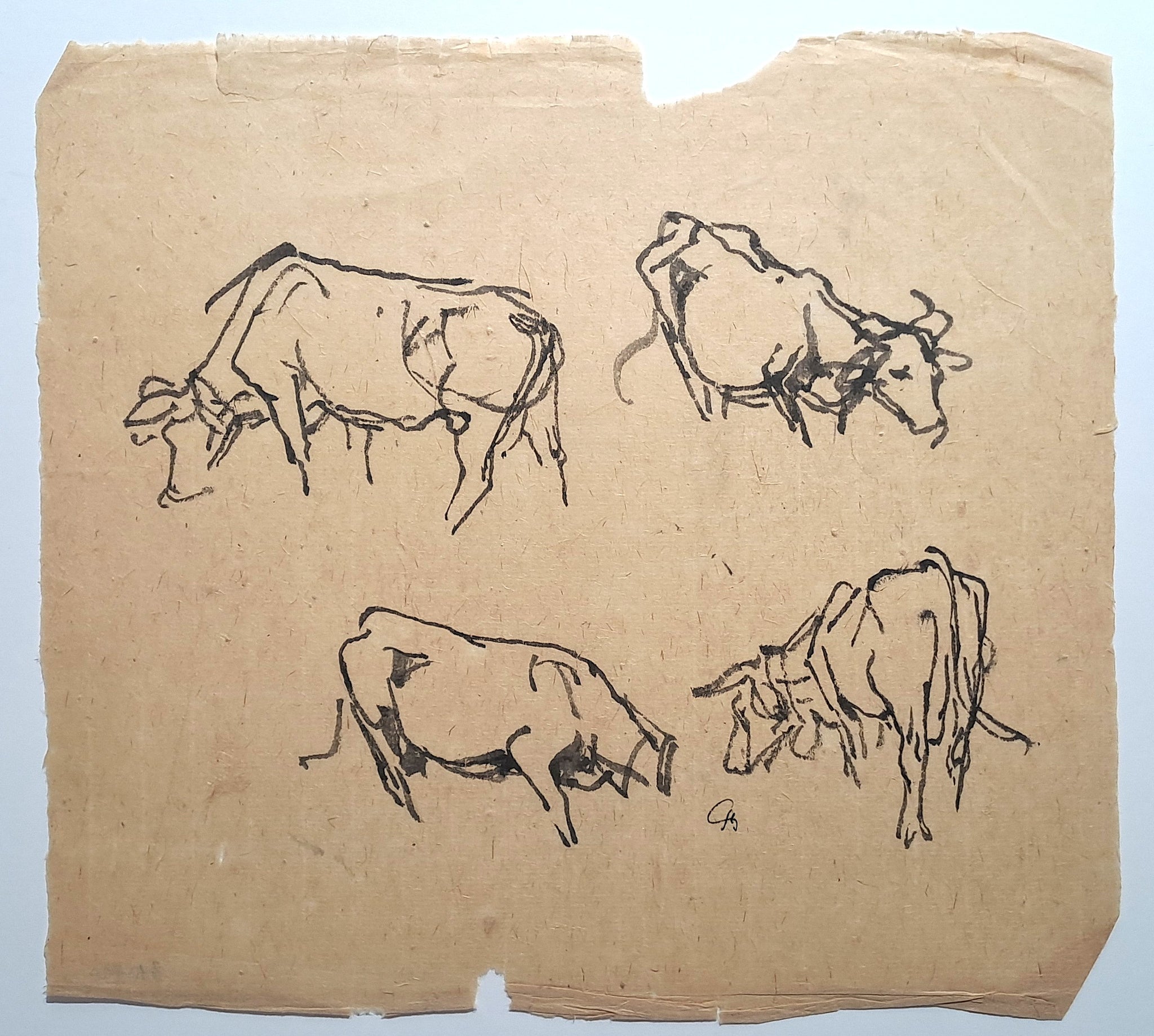 Jules CHADEL [Etudes de vache]. Dessin original. 