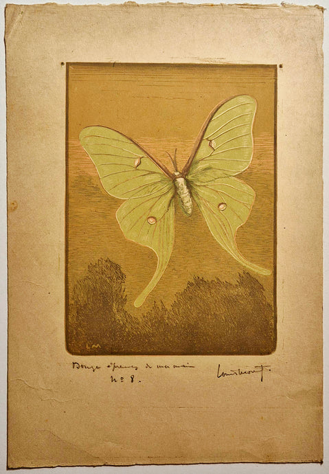 Louis MORET - [Papillon n°8]. Lithographie originale en couleurs. 