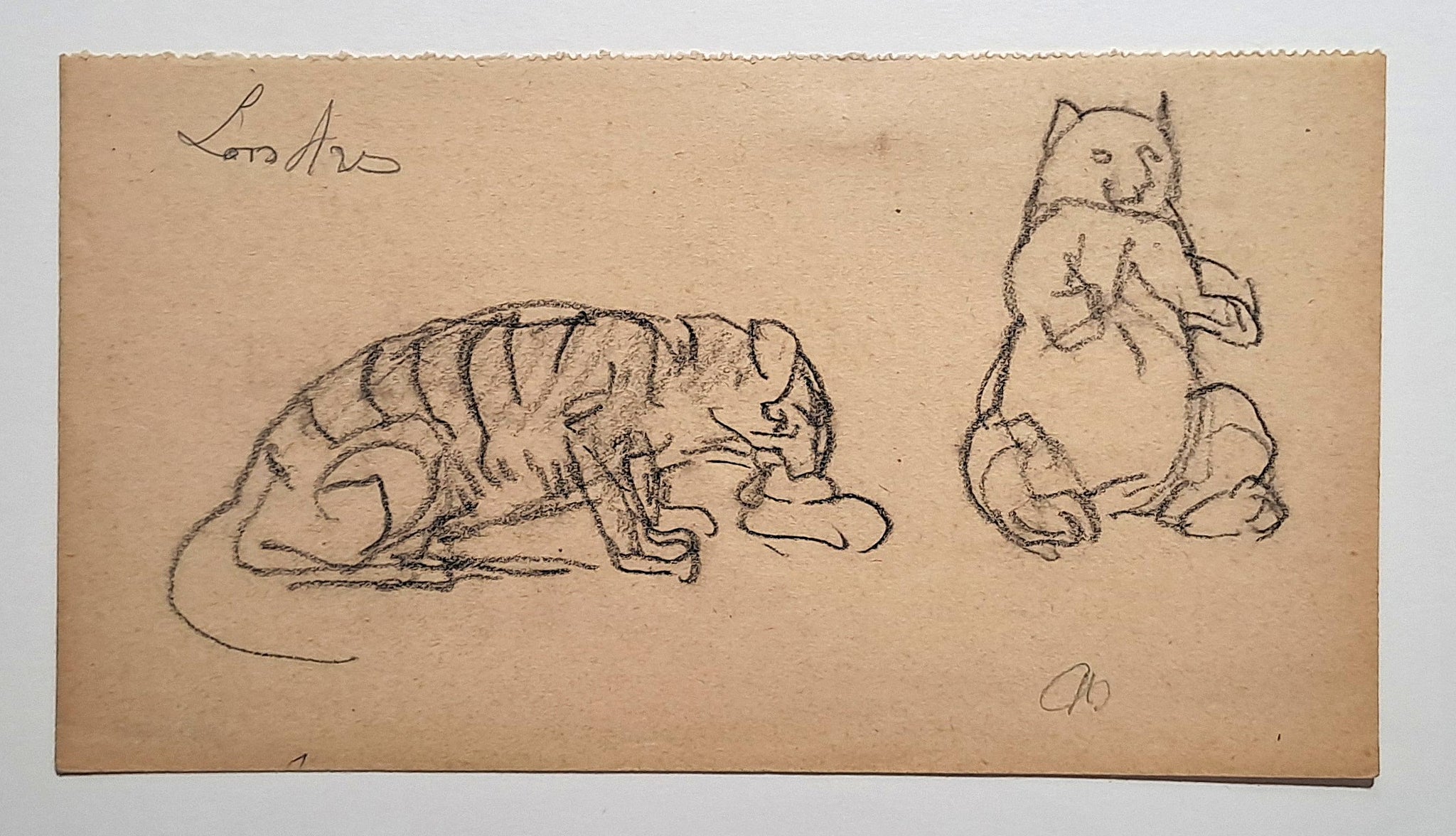 Jules CHADEL [Etudes de chat et tigre]. Dessin original. 