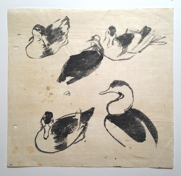 Jules CHADEL [Etude de canard]. 1910-1923. Dessin original. 