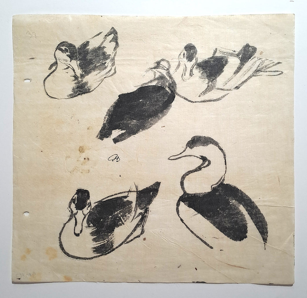 Jules CHADEL [Etude de canard]. 1910-1923. Dessin original. 