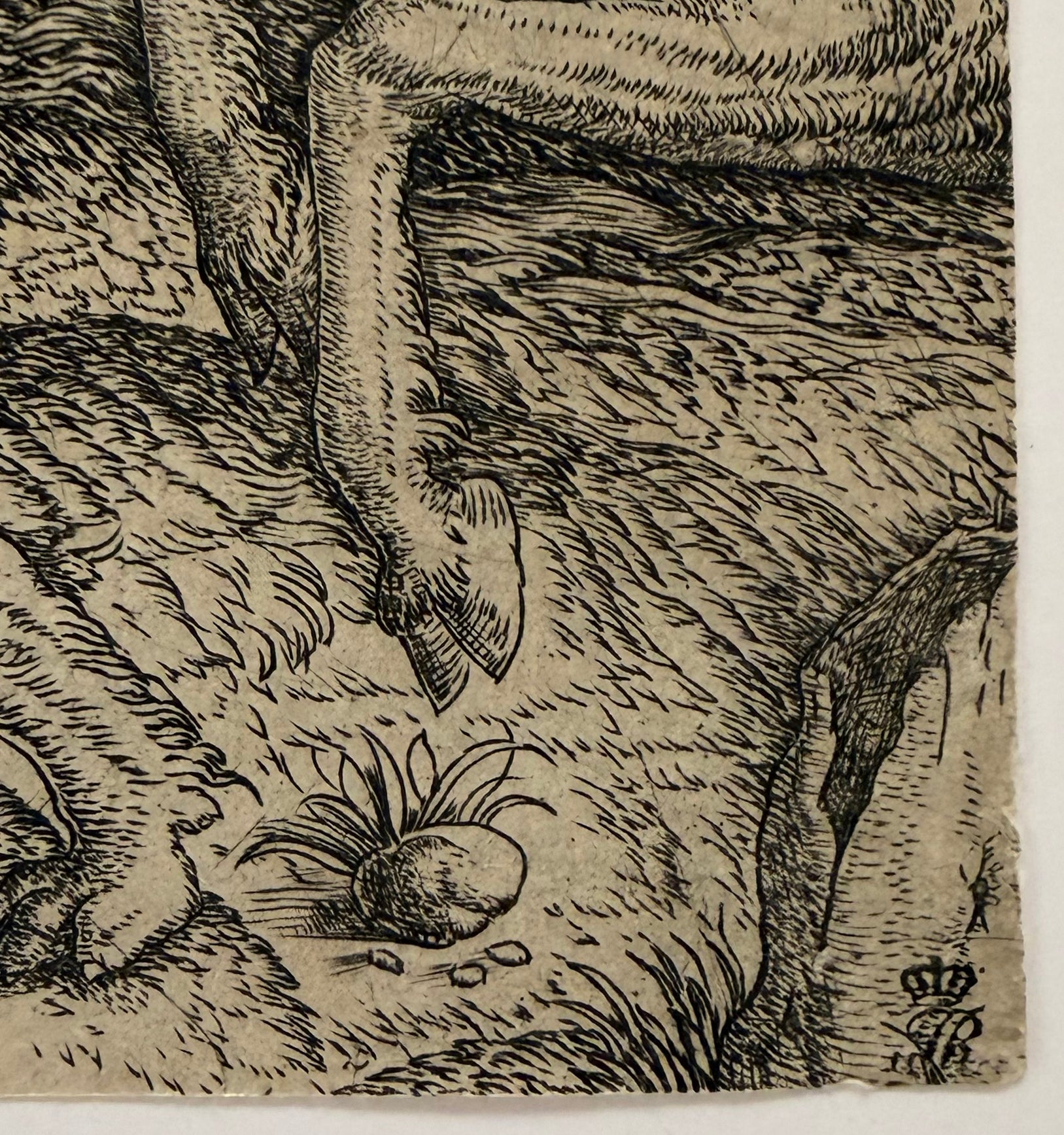 Le combat allégorique au miroir solaire, ou Poison et Antidote. c.1515-1520.