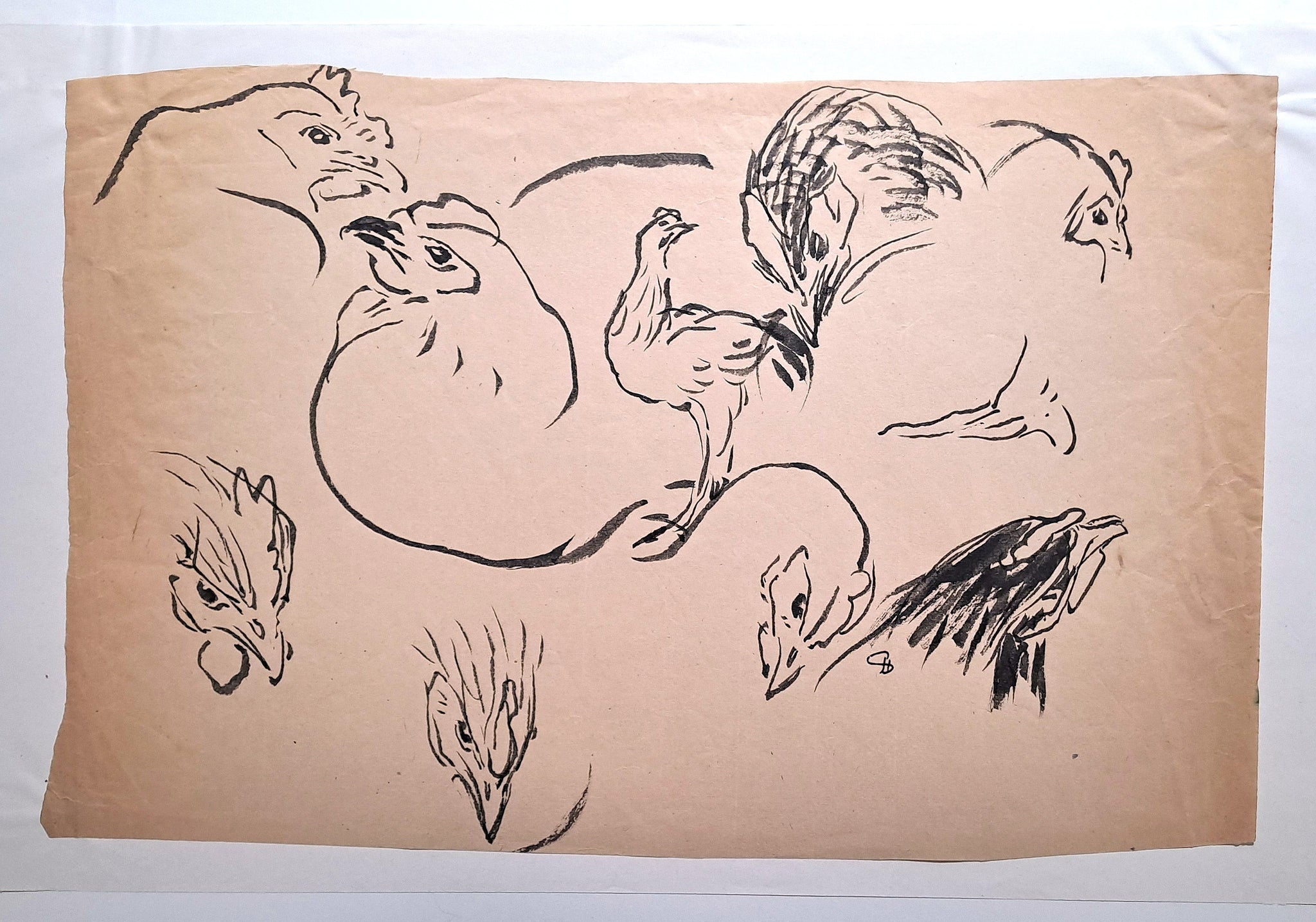 [Etudes de tête de poule].