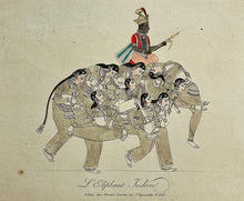 Charger l&#39;image dans la galerie, L&#39;Eléphant Indien.  Fin 18ème - début 19ème.
