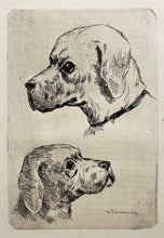 Charger l&#39;image dans la galerie, Henri Charles GUERARD - Deux petites études de chiens.  c.1876. Eau-forte originale. 
