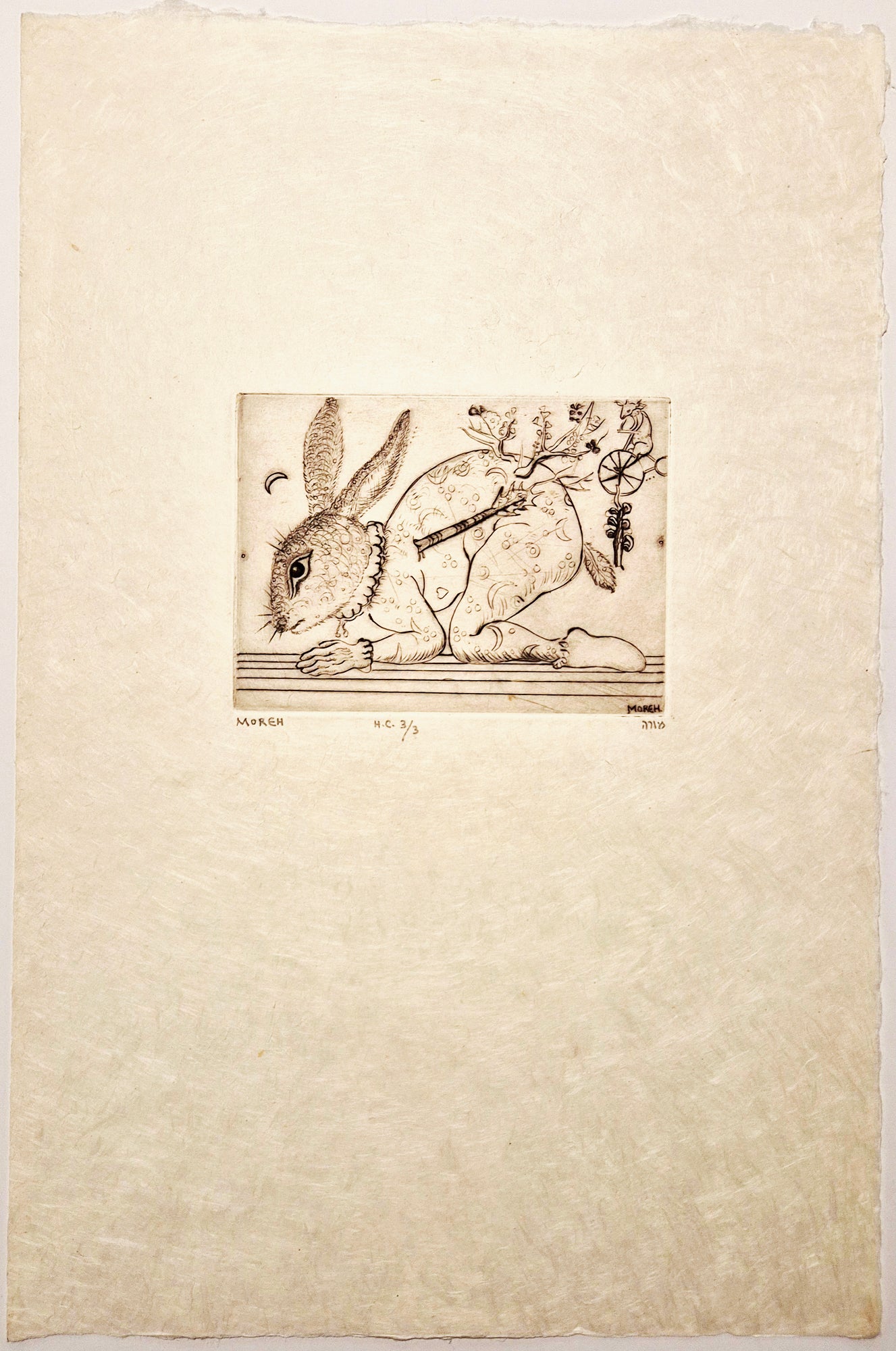 Métamorphose d'un enfant.