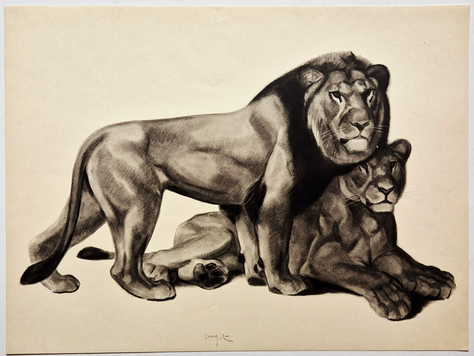 Georges GUYOT - Lion et Lionne. 1937. Estampe.