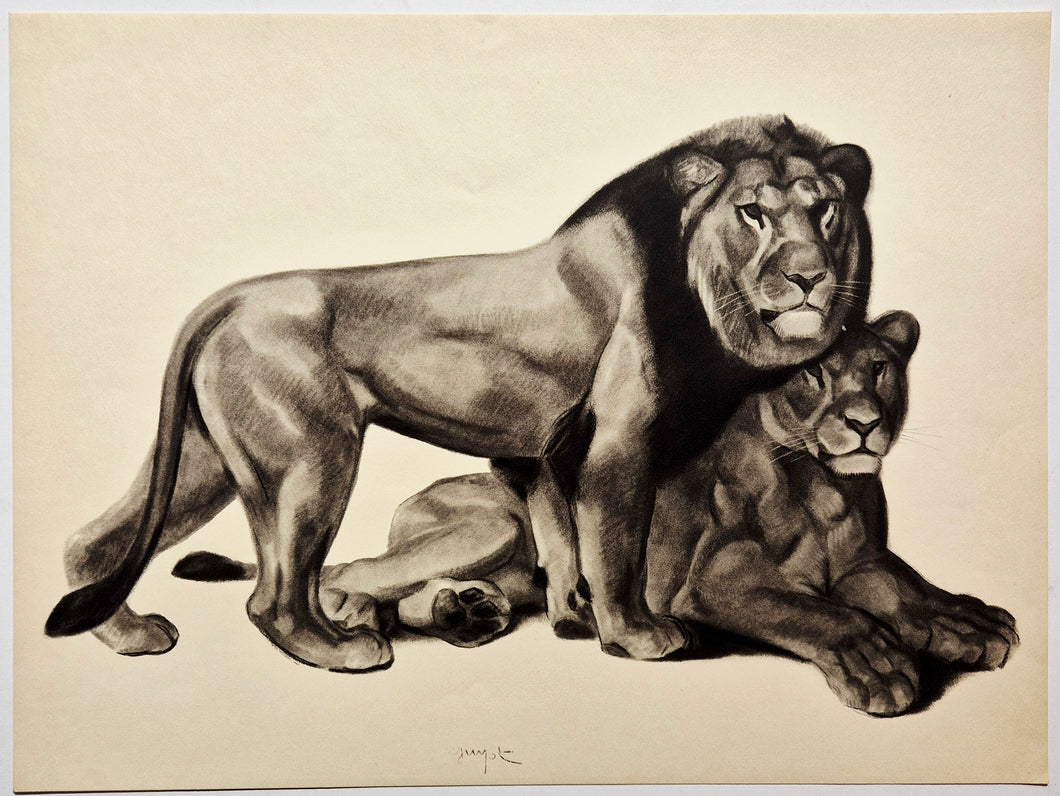 Georges GUYOT - Lion et Lionne. 1937. Estampe.