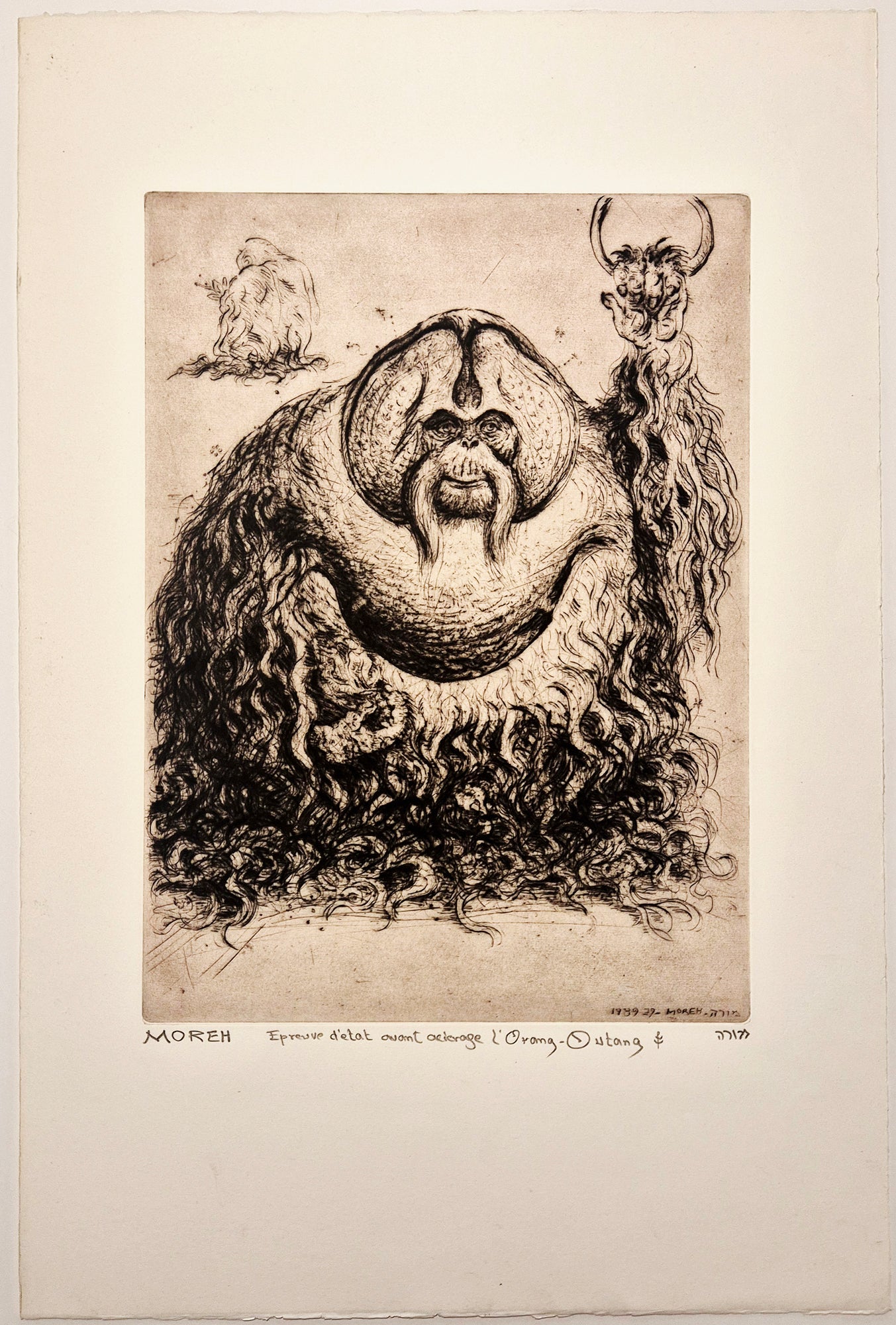MOREH Mordecaï - L'Orang-Outan. 1989. Pointe sèche originale, signée. 