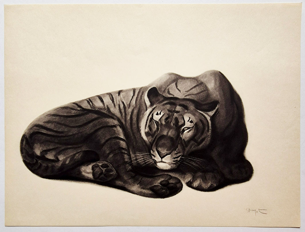 Georges GUYOT - Tigre endormi.  1937. Estampe.