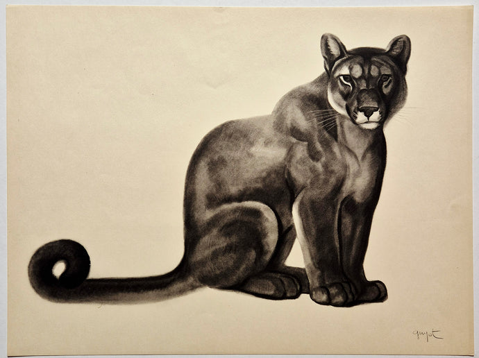 Georges GUYOT - Lionne. 1937. Estampe.