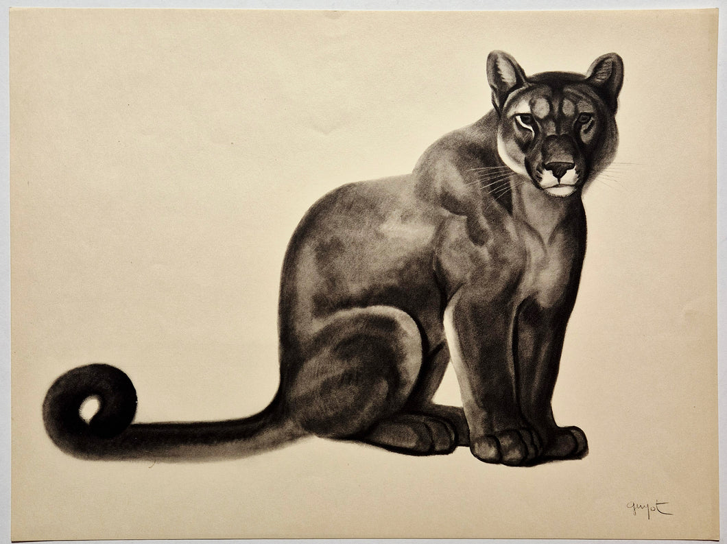 Georges GUYOT - Lionne. 1937. Estampe.