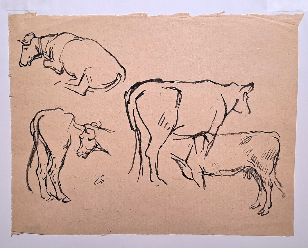 [Etudes de vaches].