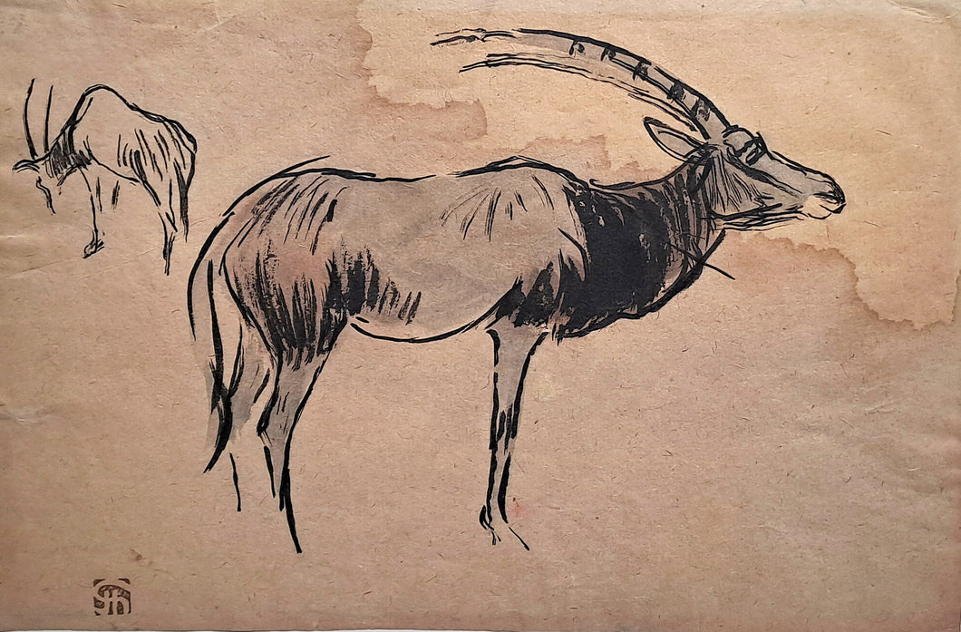 [Oryx].