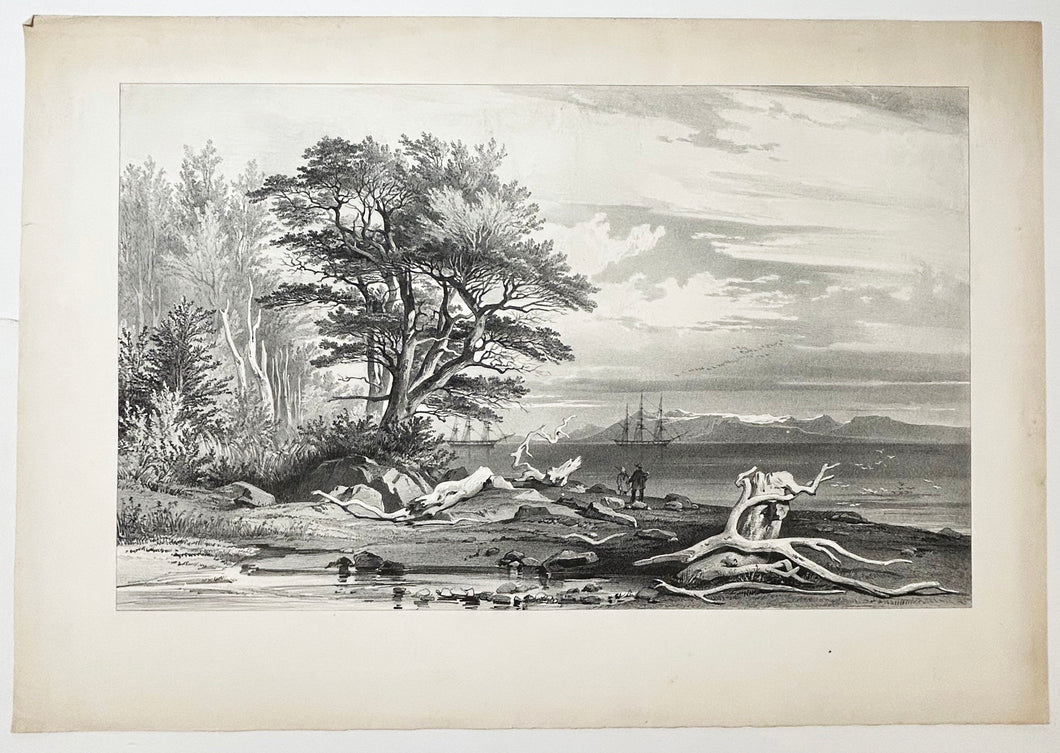 Port Famine, Détroit de Magellan (Puerto del Hambre).  1846.