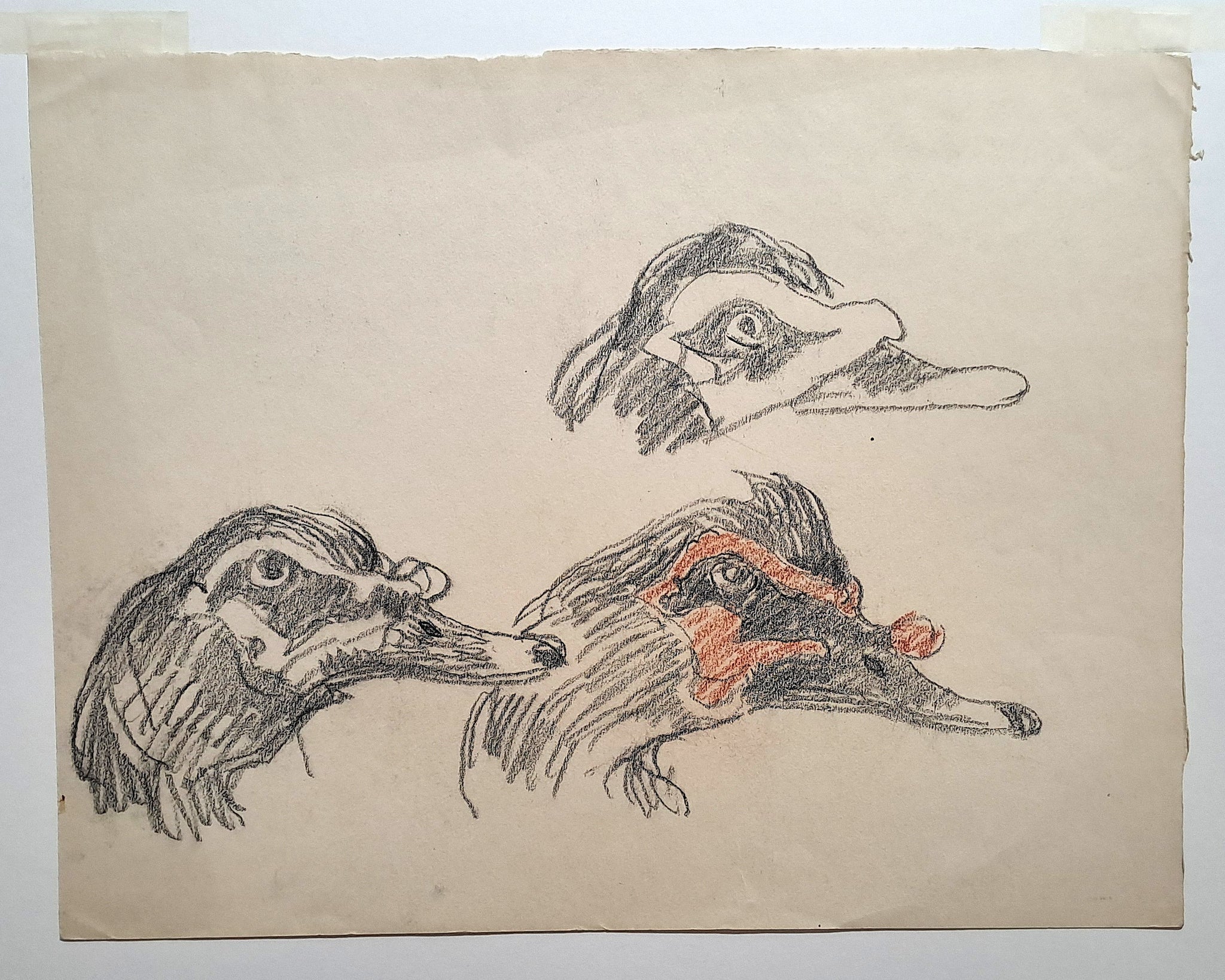 [Etudes de tête de canard].