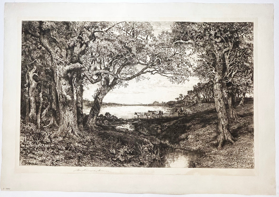 Vue de East Hampton sous les chênes (View of the East Hampton Under the Oaks).