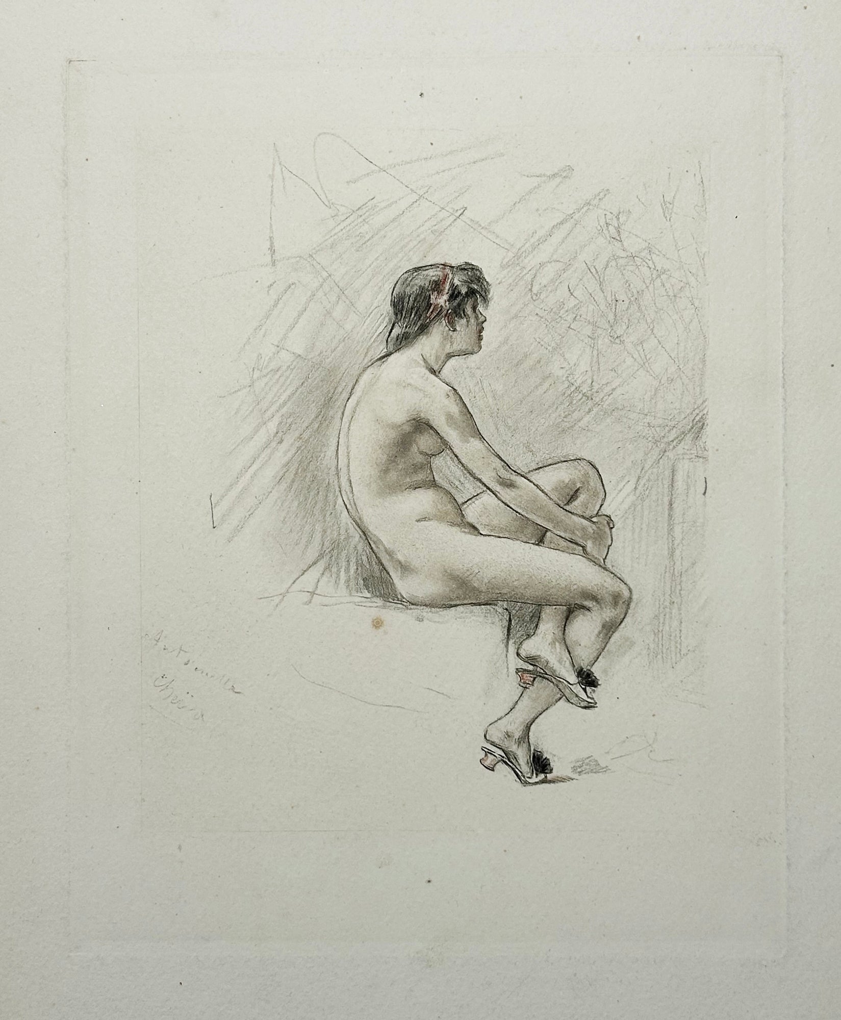 Félicien ROPS - Le beau paon. Héliogravure en couleurs.