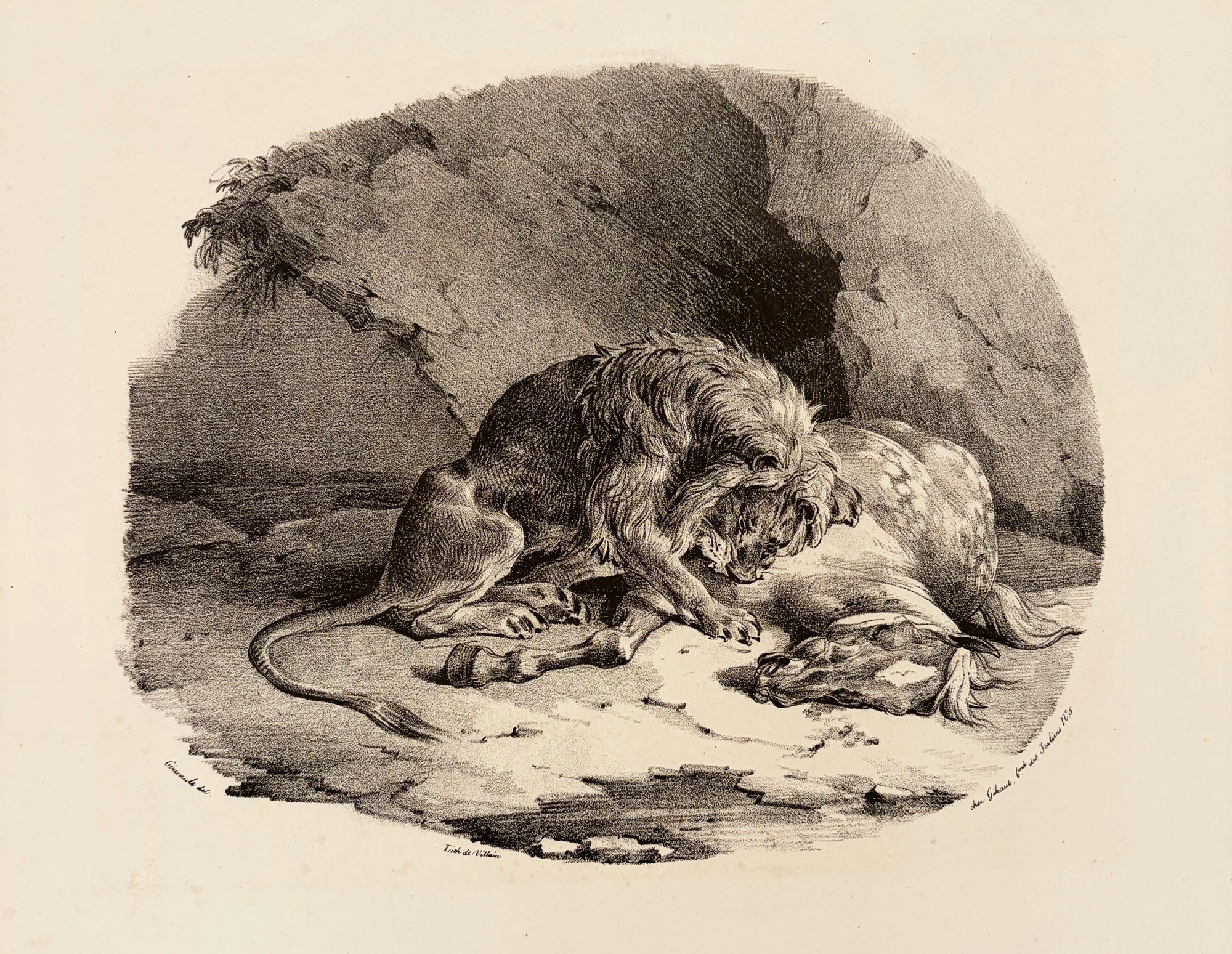 Théodore GERICAULT - Cheval dévoré par un lion. 1823. Lithographie originale. 