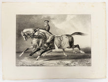 Charger l'image dans la galerie, Deux chevaux gris pommelé que l'on promène.  1822.

