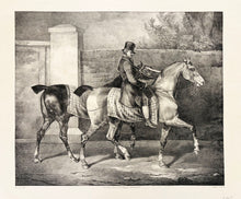 Charger l'image dans la galerie, Théodore GERICAULT - Deux chevaux promenés par un jockey.  1822. Lithographie exécutée en grande partie par Joseph Volmar 
