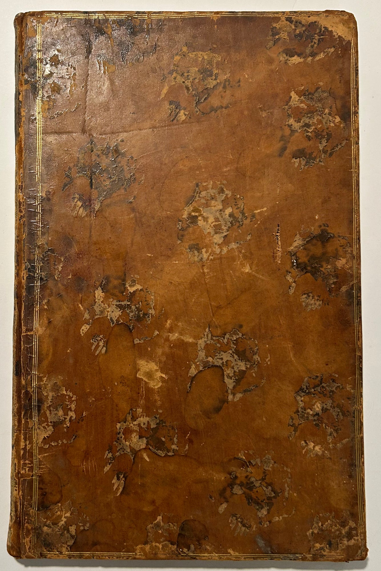Portraits des Princes & Princesses de ce tems & Le Monde représenté en ses parties, élémens, saisons, métiers, masquerades et balet d'Amour par Charles & Abraham ALLARD.