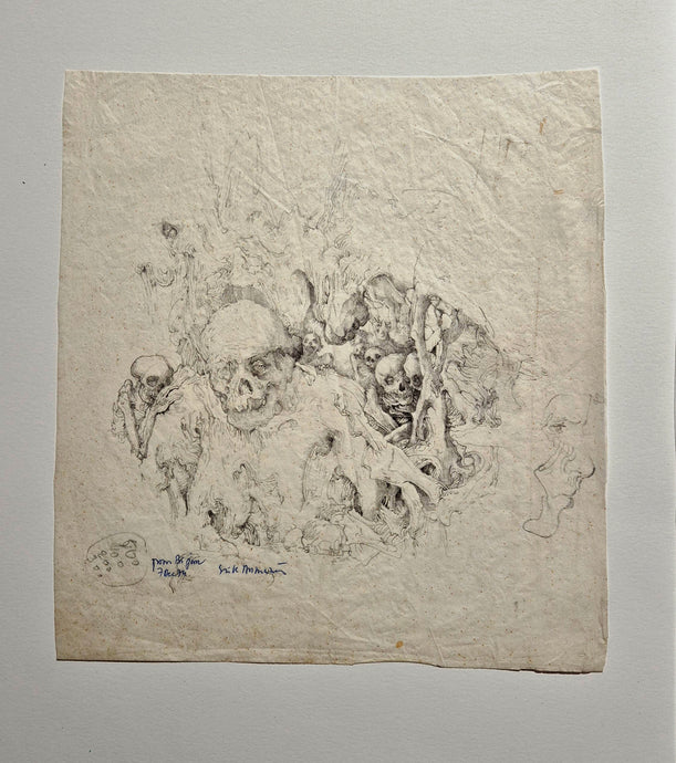 Etude de crânes et squelettes. Desmazieres dessin.