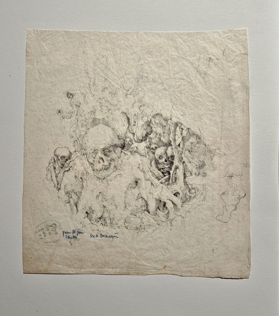 Etude de crânes et squelettes. Desmazieres dessin.
