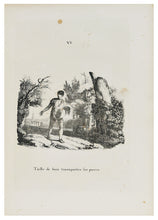 Charger l&#39;image dans la galerie, COLLECTION de plusieurs essais en DESSINS ET GRAVURES pour servir de Supplément à l’Instruction pratique DE LA LITHOGRAPHIE par Aloys Senefelder.[s. l.] 1819 [s. n.].
