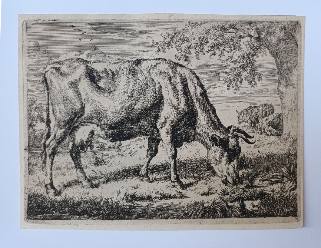 La vache et les deux moutons au pied d’un arbre. Vers 1670.