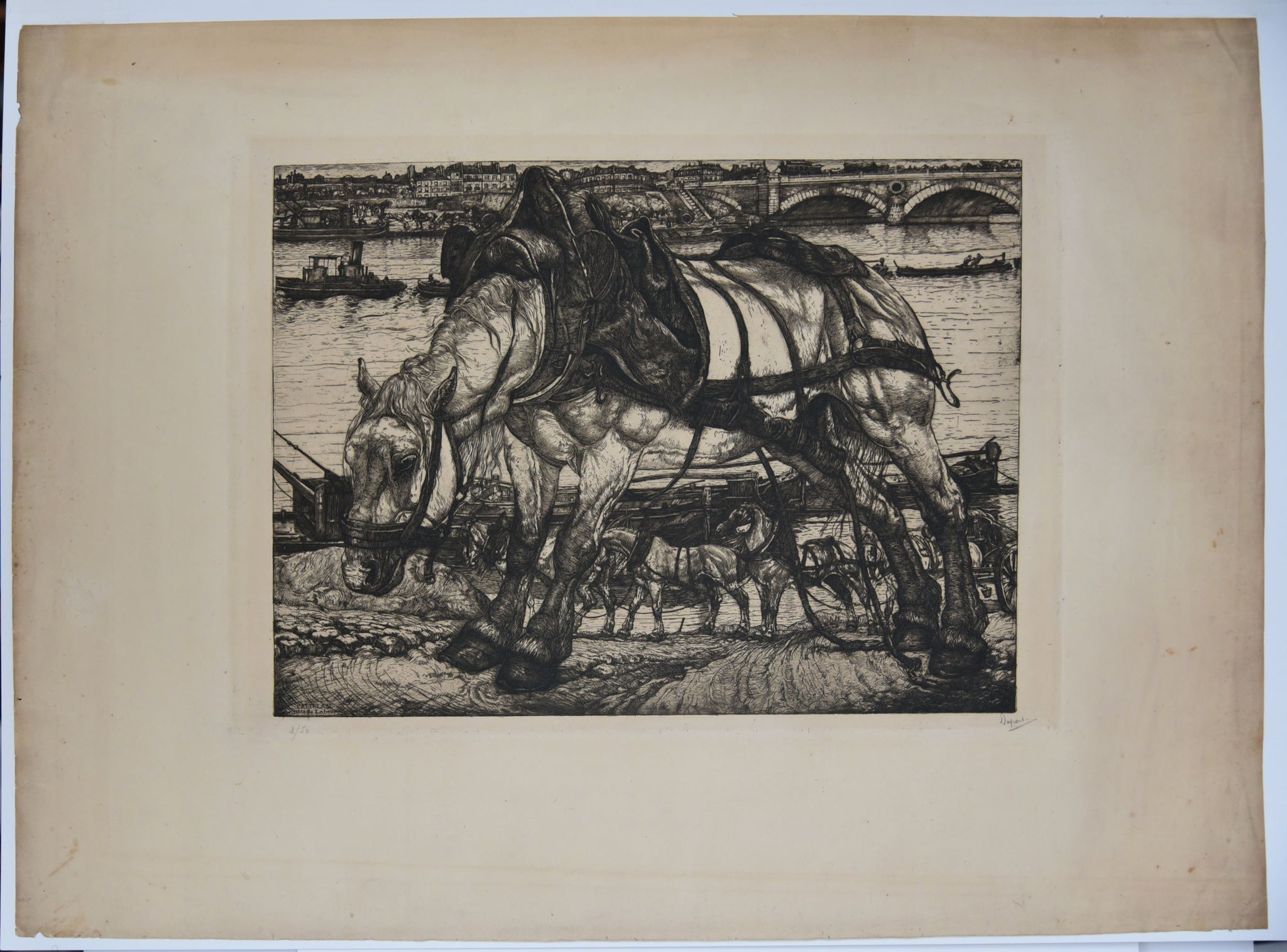 L’attelage. Bête de labeur.