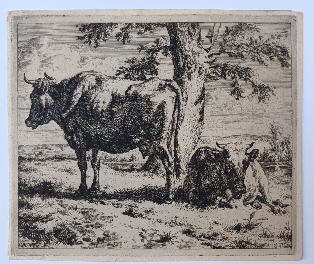Les deux vaches au pied d’un arbre. Entre 1656 et 1672.