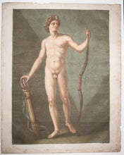 Charger l&#39;image dans la galerie, Apollon &amp; Vénus, l&#39;Anatomie Idéale.
