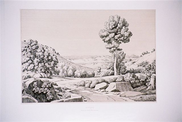 Attique. L'Attique vue du pied du Mont Pentélique.  1845.