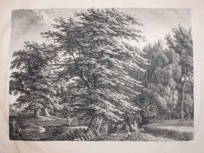 [Paysage, un homme et un chien dans la forêt]. 