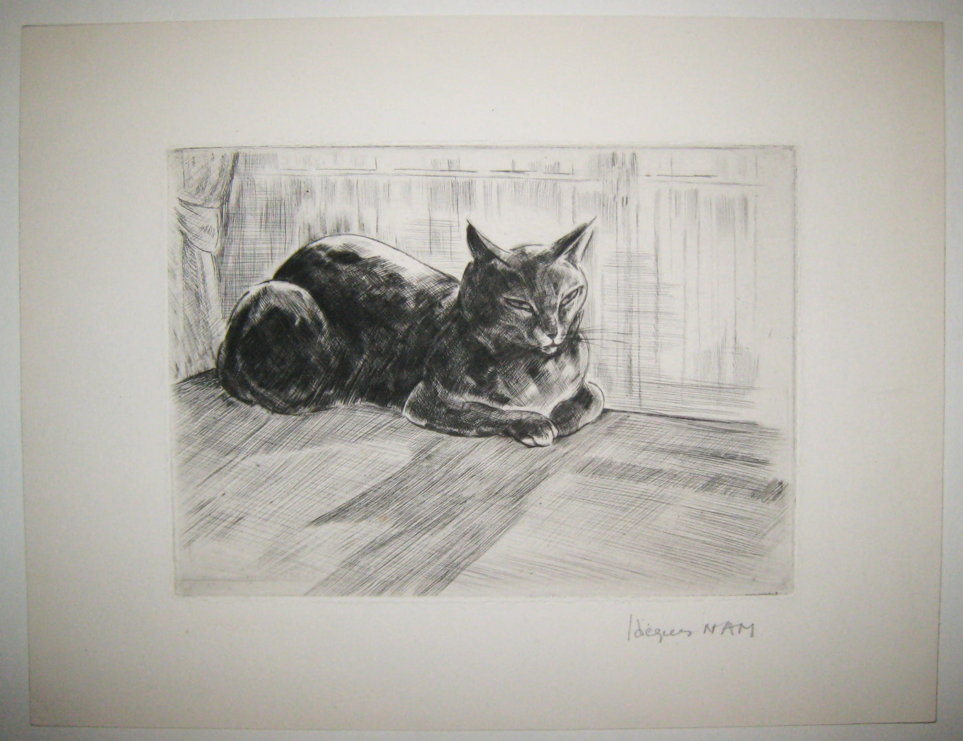 [Chat couché]. 
