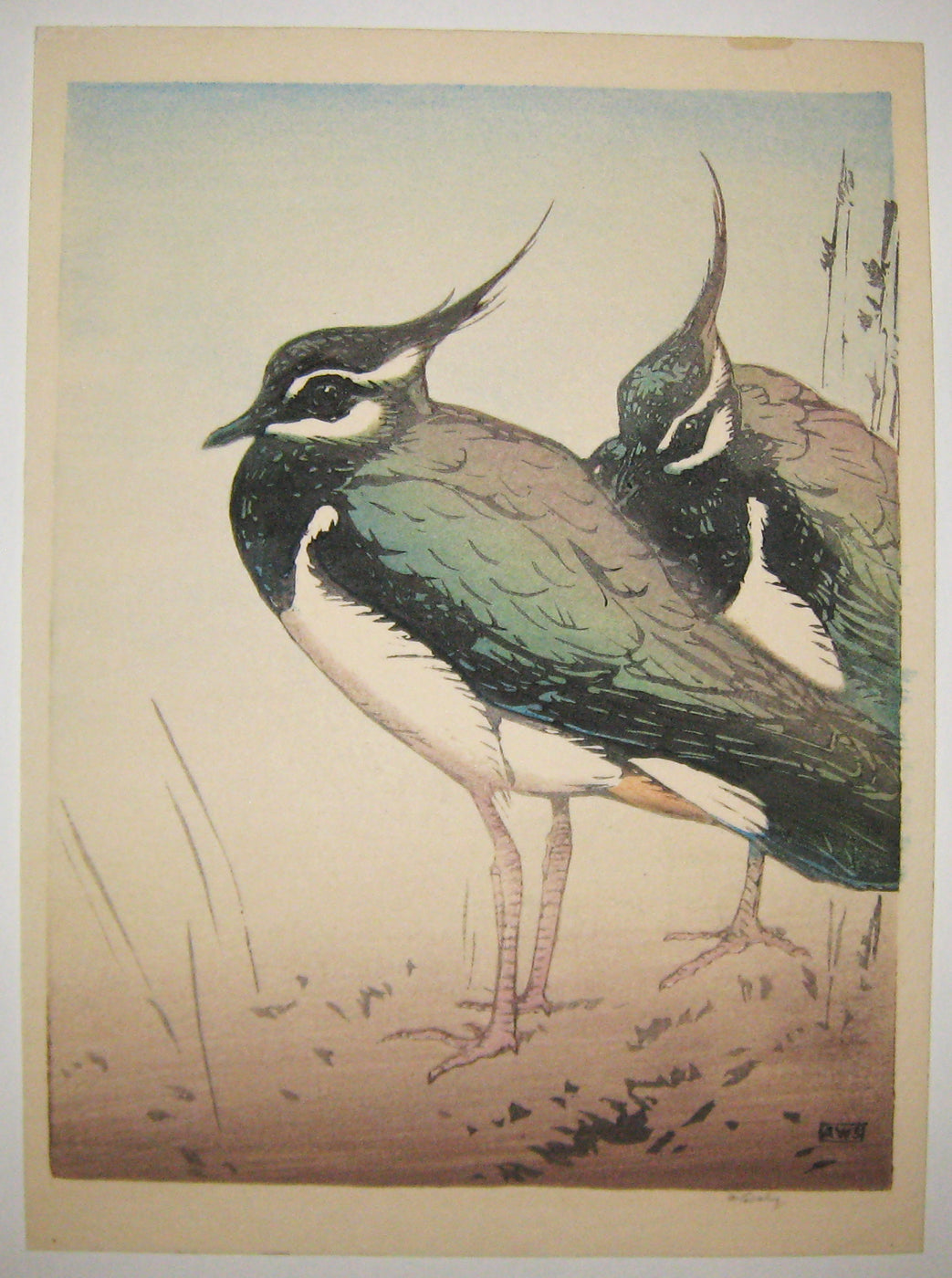 [Deux oiseaux].