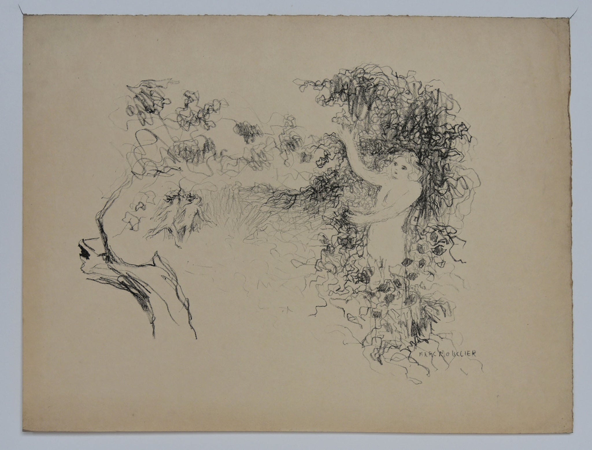 [Muse dans la nature].