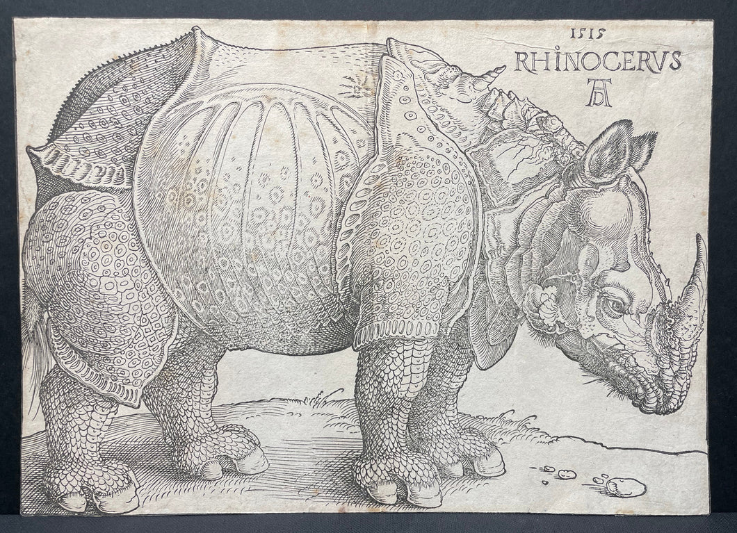 Le Rhinocéros. 1515.